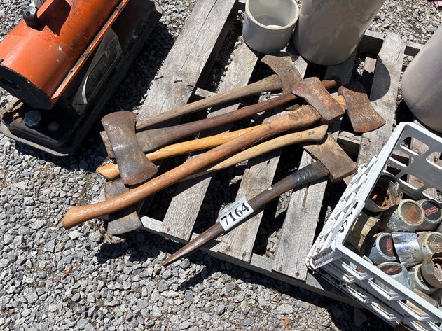Image for D1.(6) Axes