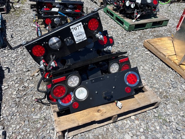 Image for D1g. Truck light panels