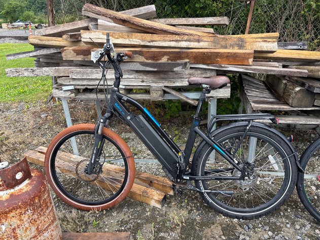 Image for D1. Magnum Metro 48v electric bike