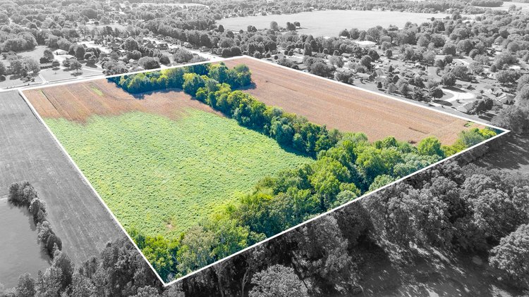 Image for Absolute Land Auction-30+/- Acres (Online Only)