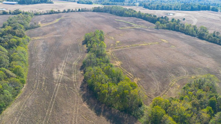 Image for 381 Kiper Whitworth Lane