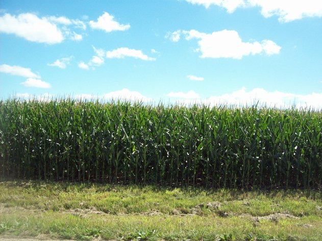 Image for Lisa Anderson Sale