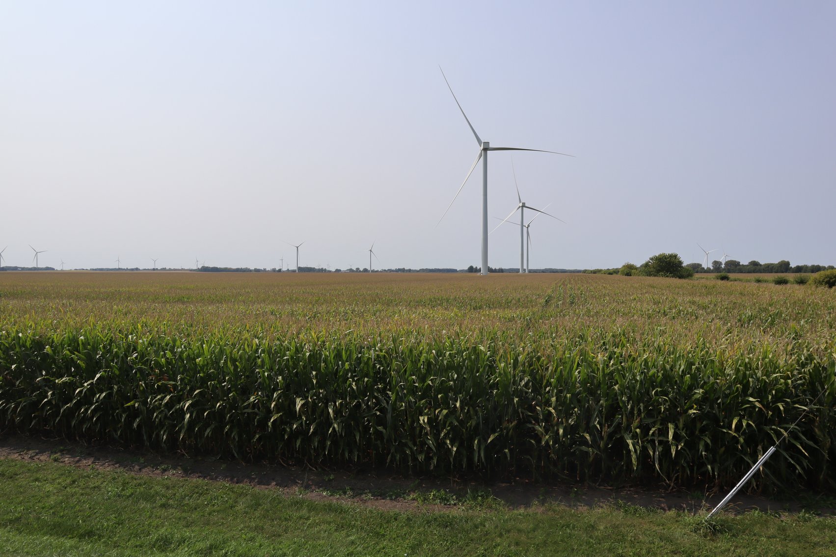 Image for Cindy Lou Porter Farm Auction