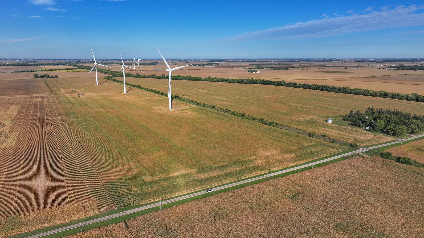 Image for Cindy Lou Porter Farm Auction