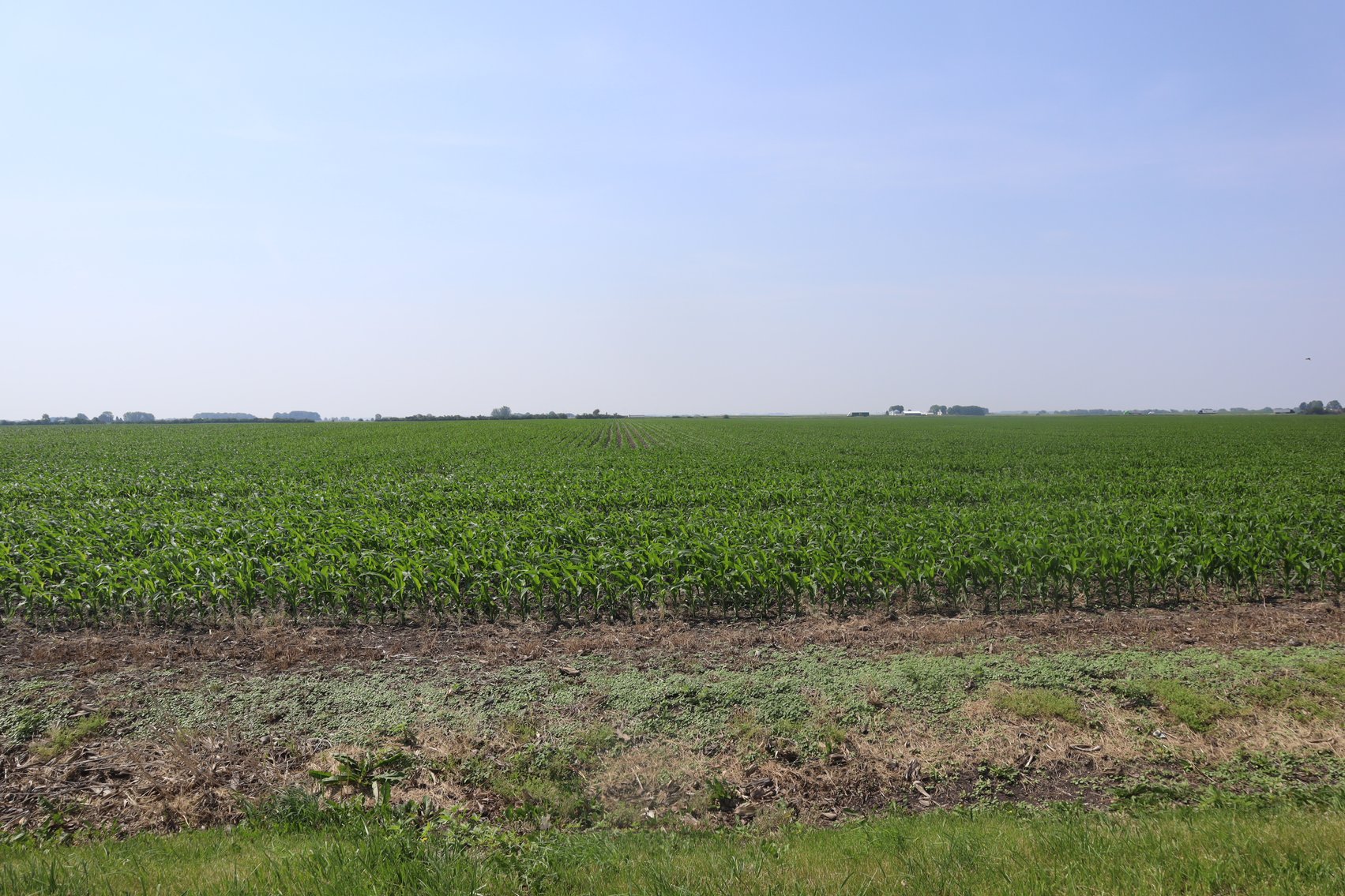 Image for Blanchflower Farmland Auction
