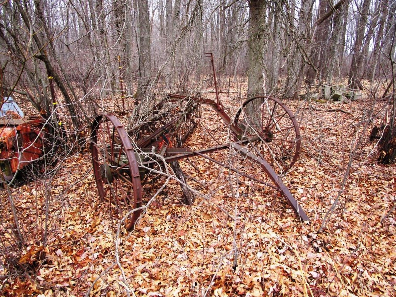 Image for The Bob Thornton Living Estate Auction