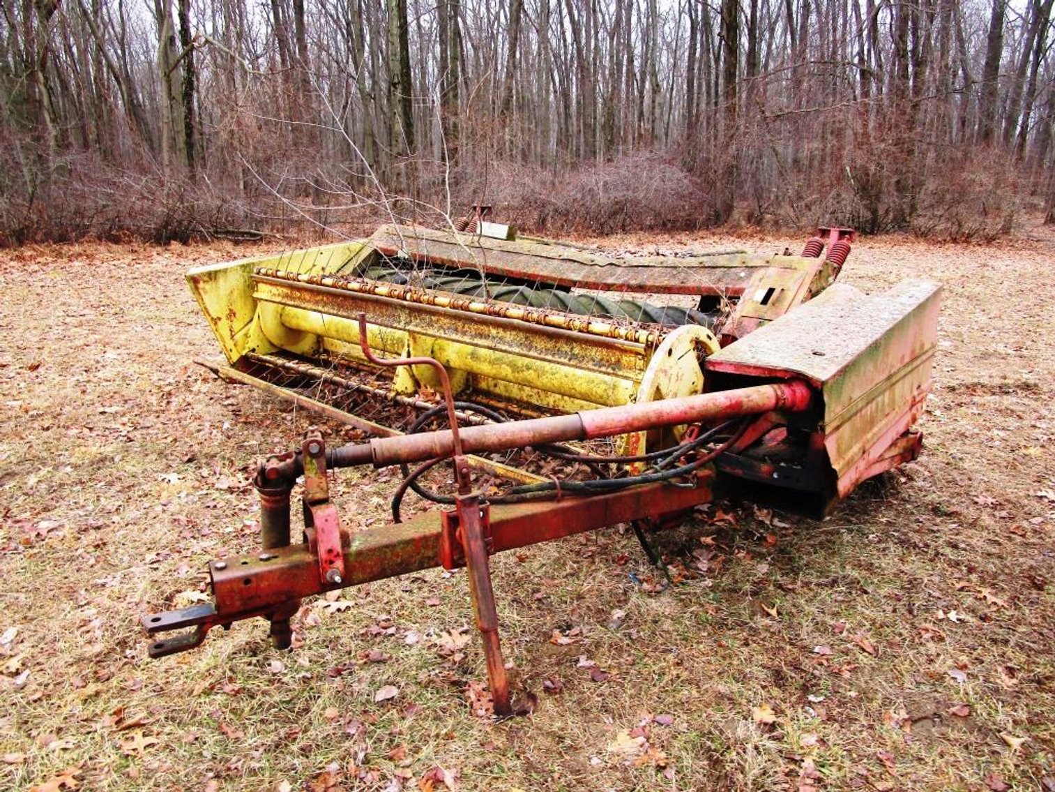 Image for The Bob Thornton Living Estate Auction