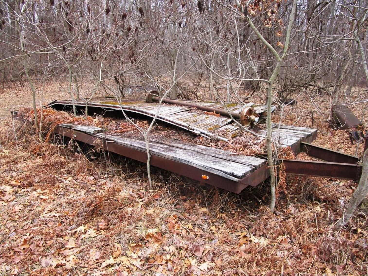 Image for The Bob Thornton Living Estate Auction