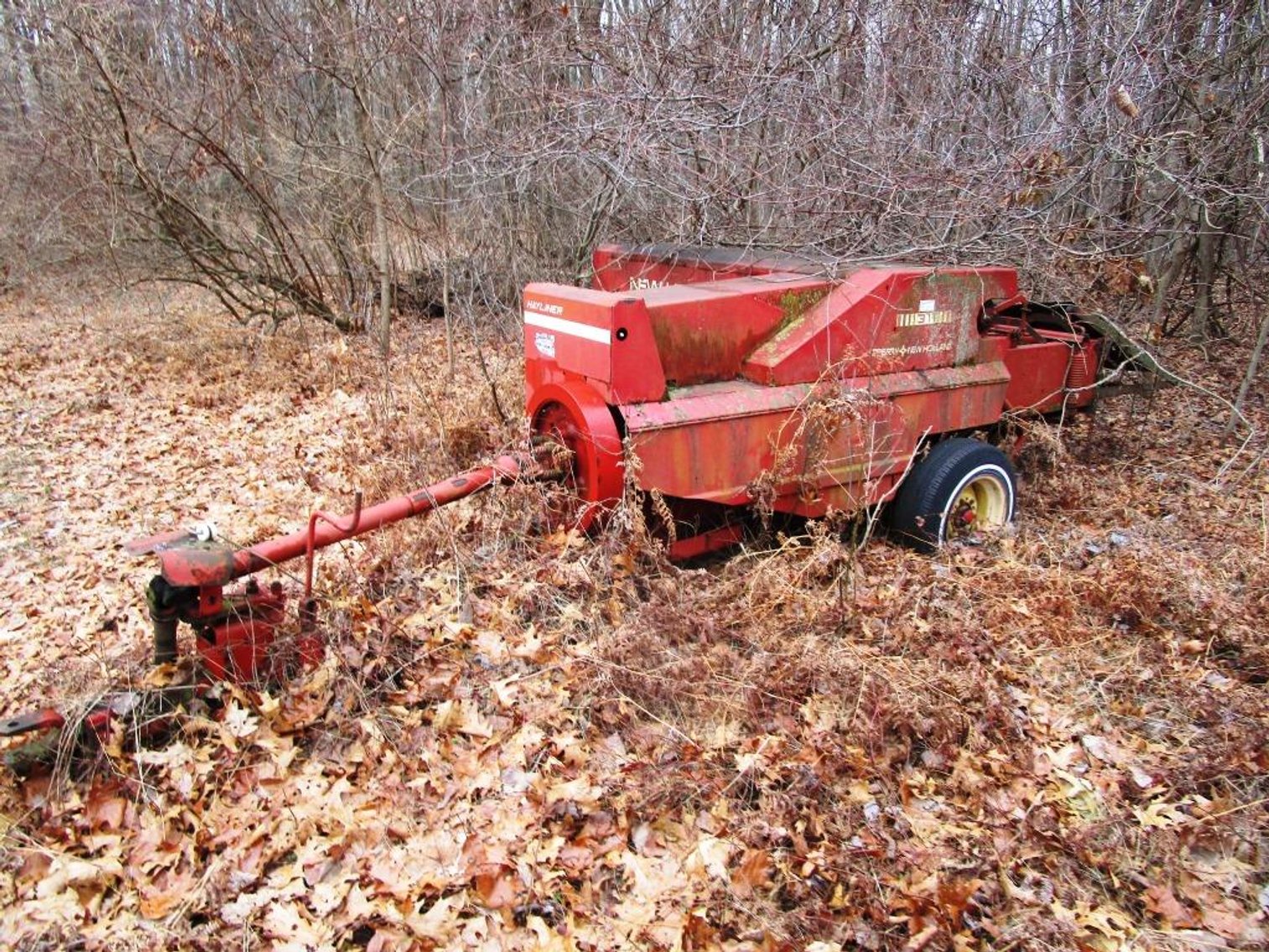 Image for The Bob Thornton Living Estate Auction