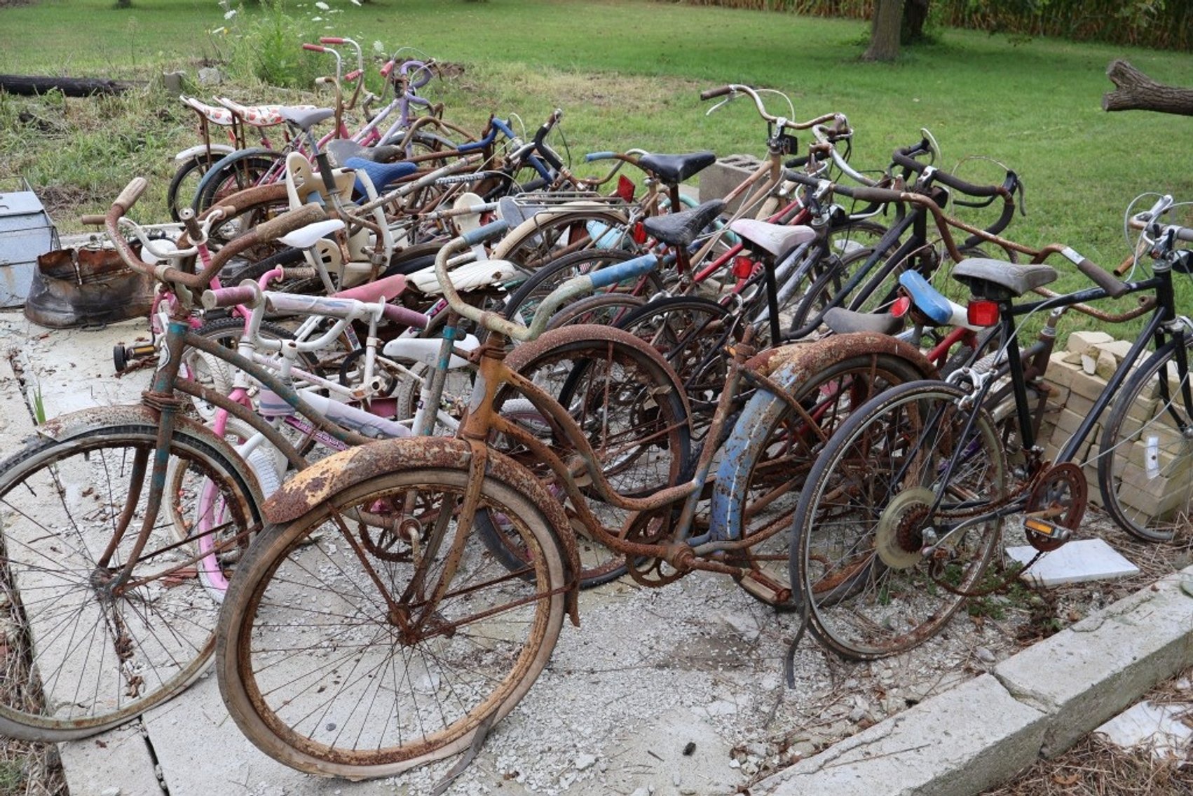 Image for MASSIVE Centennial Farm Estate Auction - LIVE ON-SITE