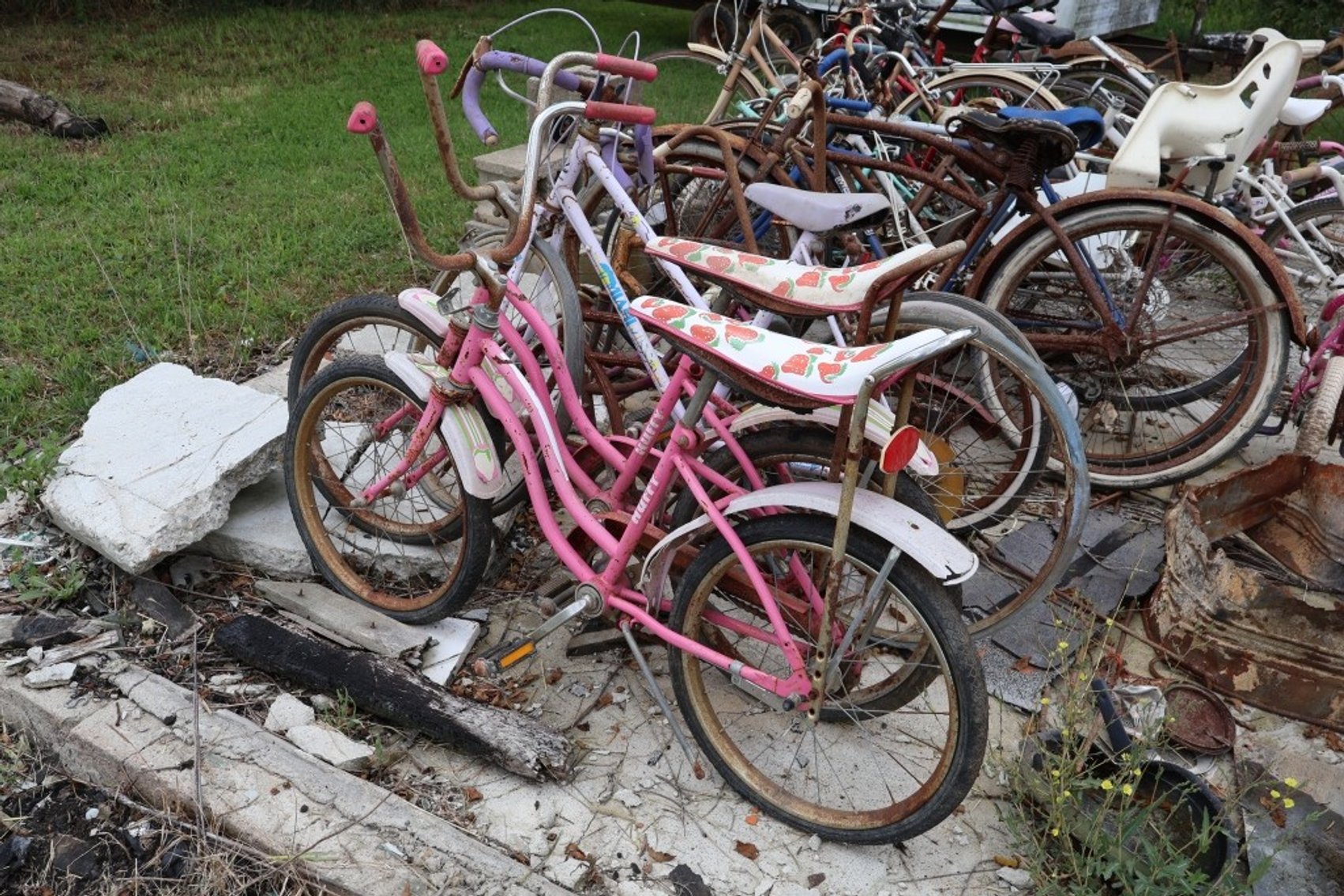 Image for MASSIVE Centennial Farm Estate Auction - LIVE ON-SITE