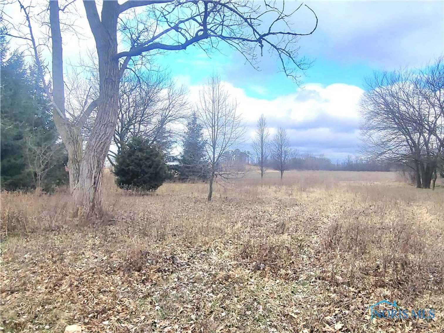 Image for MINIMUM BID AUCTION $99,000! 3425 PLUMEY RD