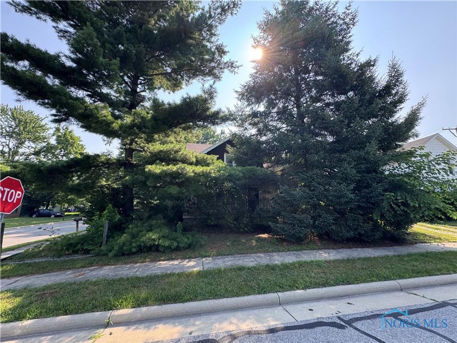 Image for MINIMUM BID AUCTION $25,000! 1441 Maumee St