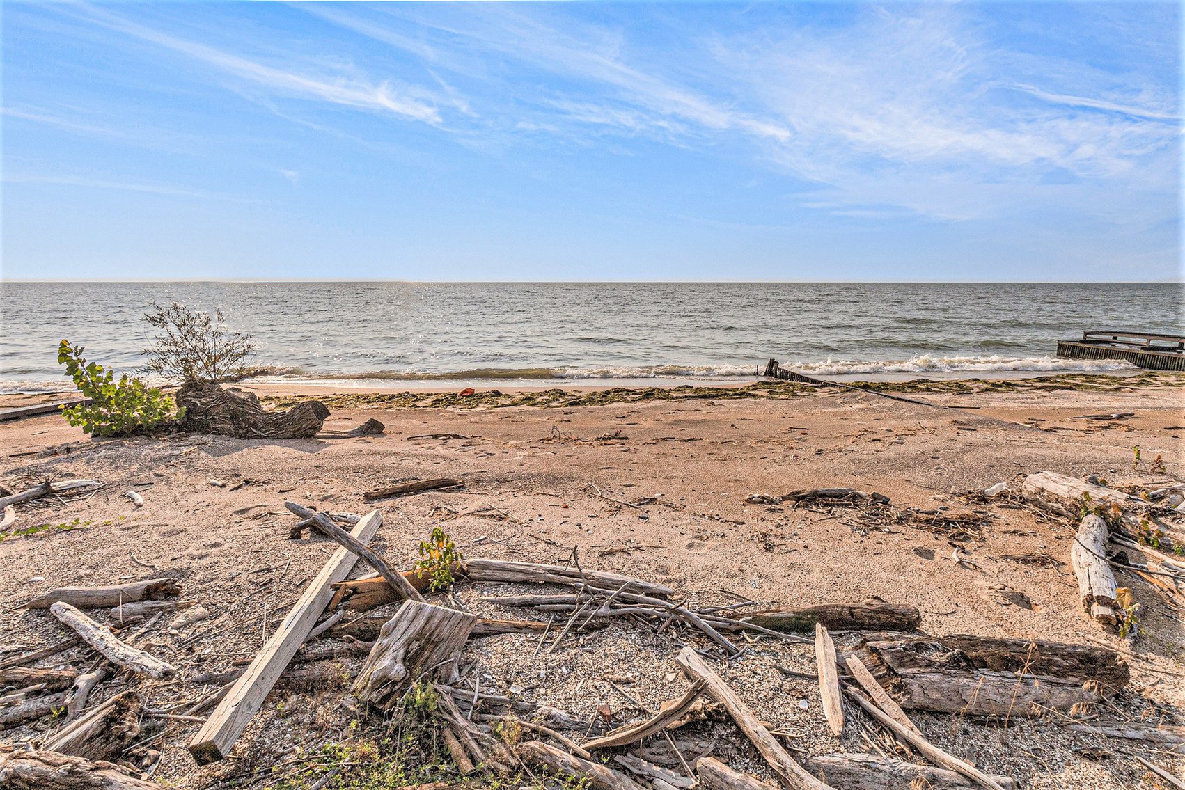 Image for MINIMUM BID AUCTION $425,000! 12294 Lakeshore Dr