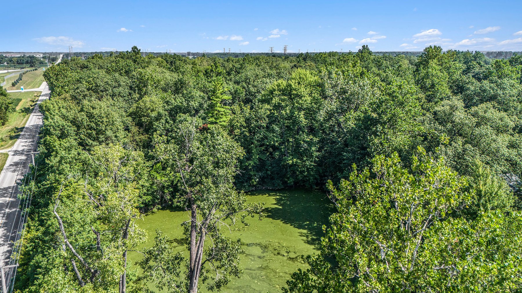 Image for MINIMUM BID AUCTION $50,000! 0 PEMBERVILLE RD