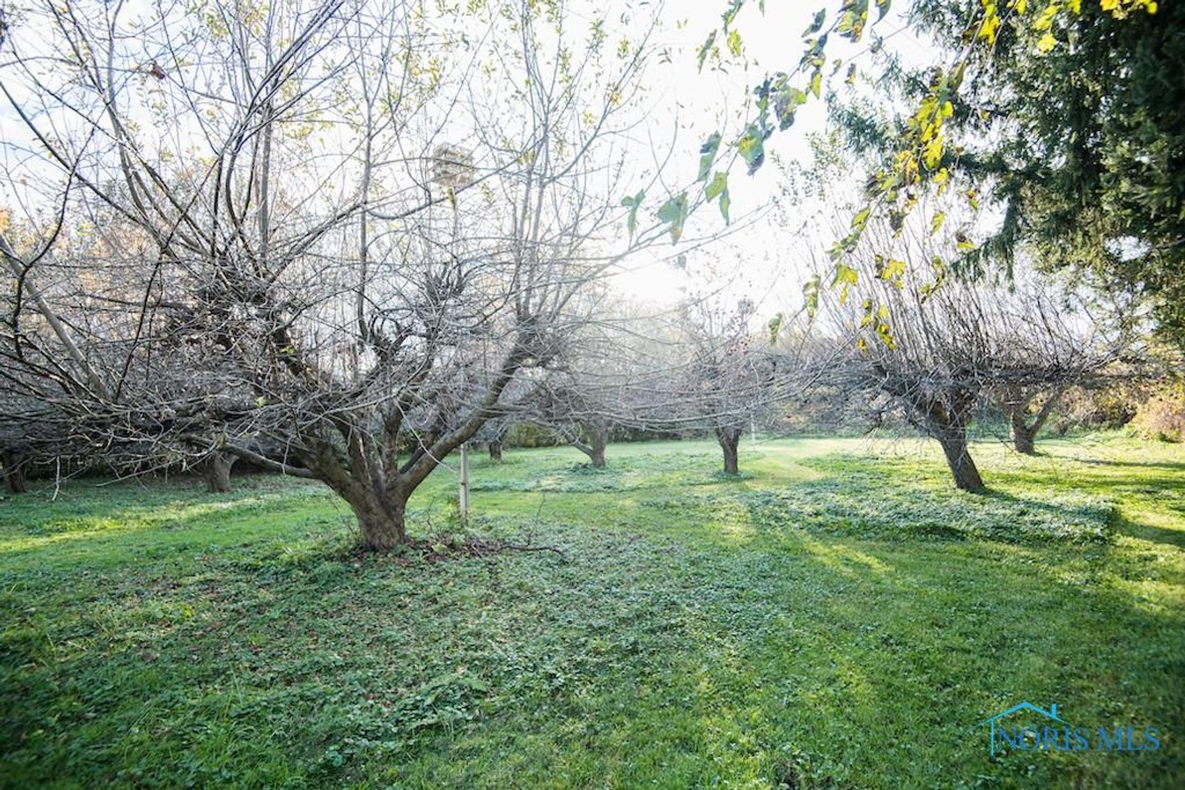 Image for SOLD PRIOR TO AUCTION! 3228 Manhattan