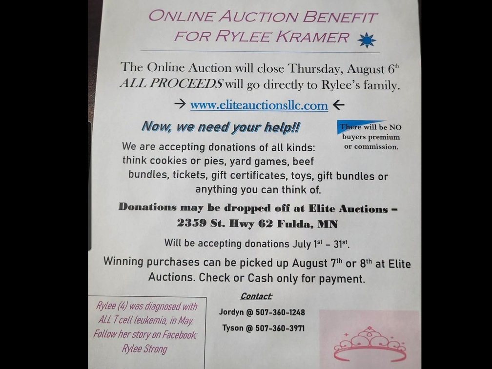 Image for Benefit Auction For Rylee Kramer