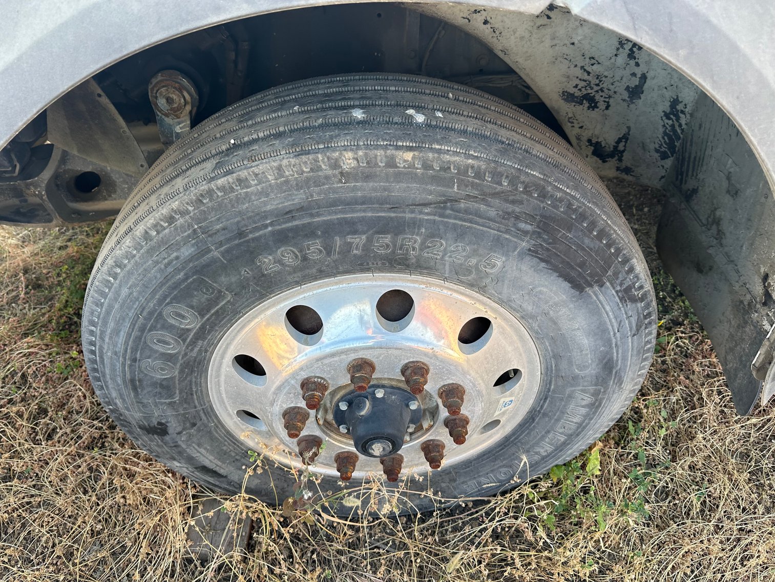 Image for 2009 INTERNATIONAL PAYSTAR 5900