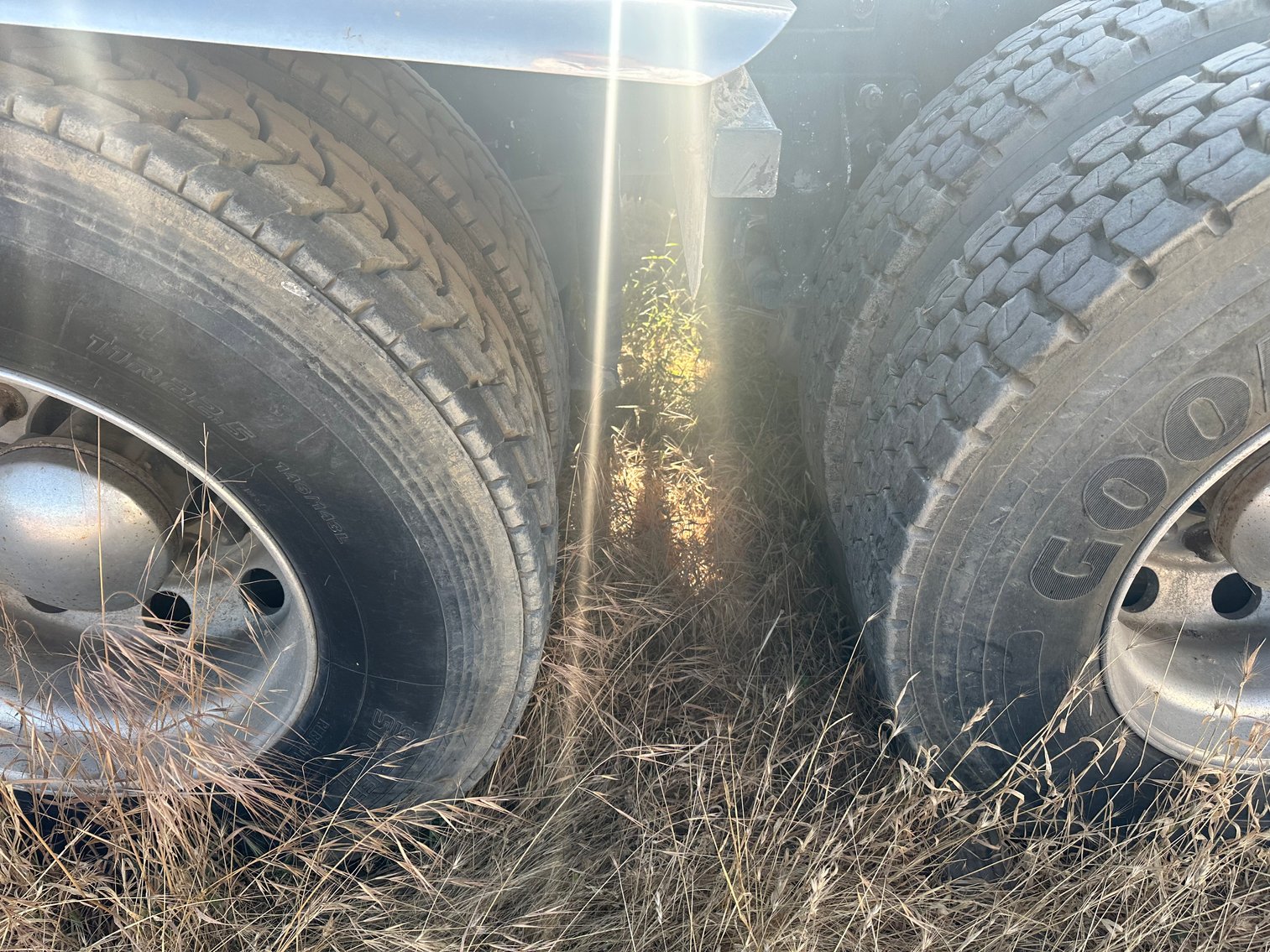 Image for 2009 INTERNATIONAL PAYSTAR 5900