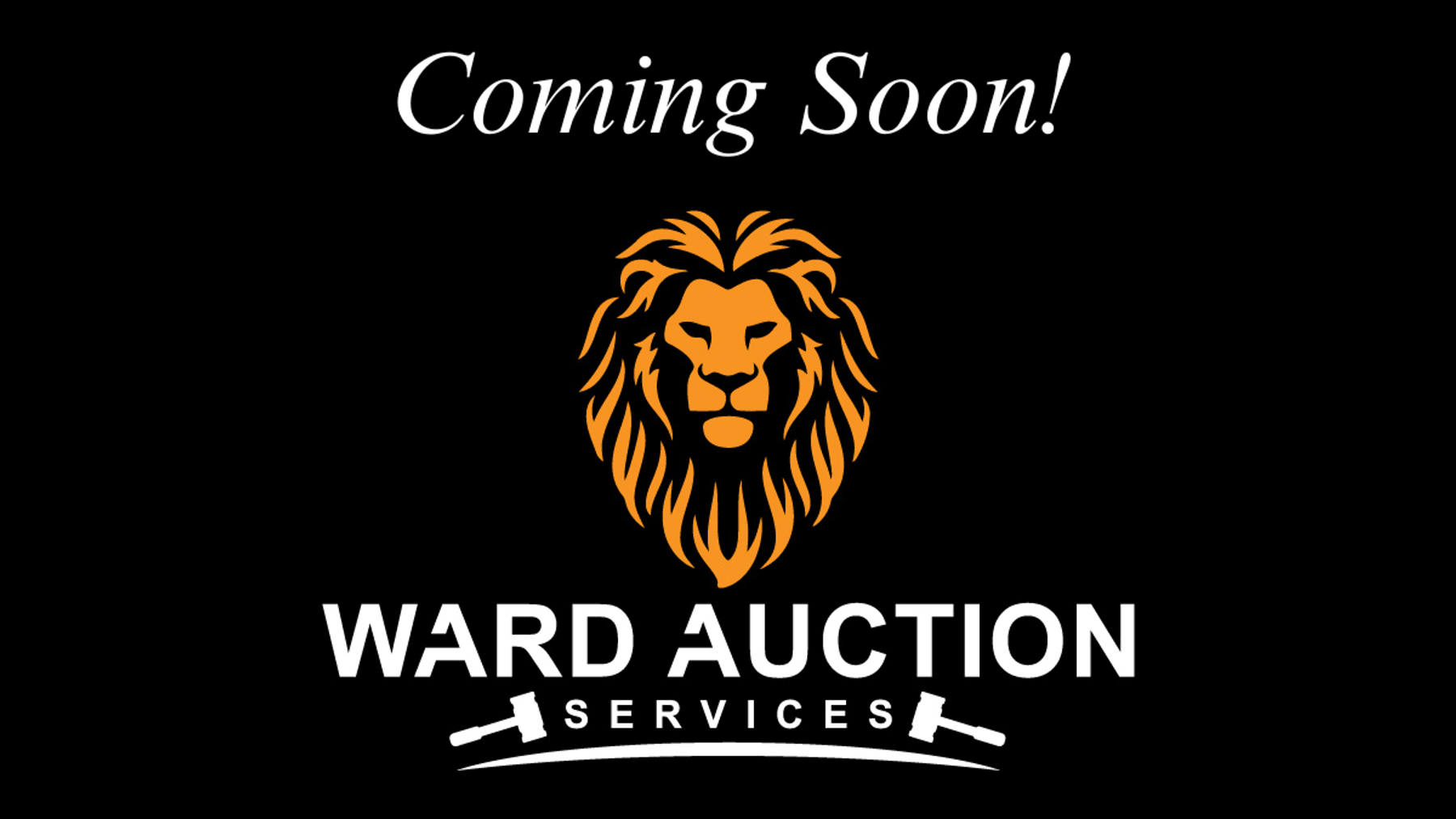 Image for Sports Memorabilia Auction - 1000+ Lots of Sporting Goods Collectibles