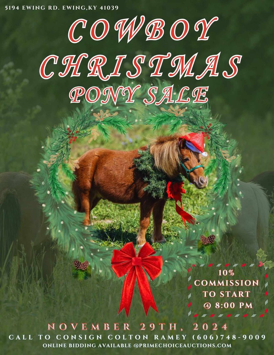 Image for 606 Christmas Pony Sale