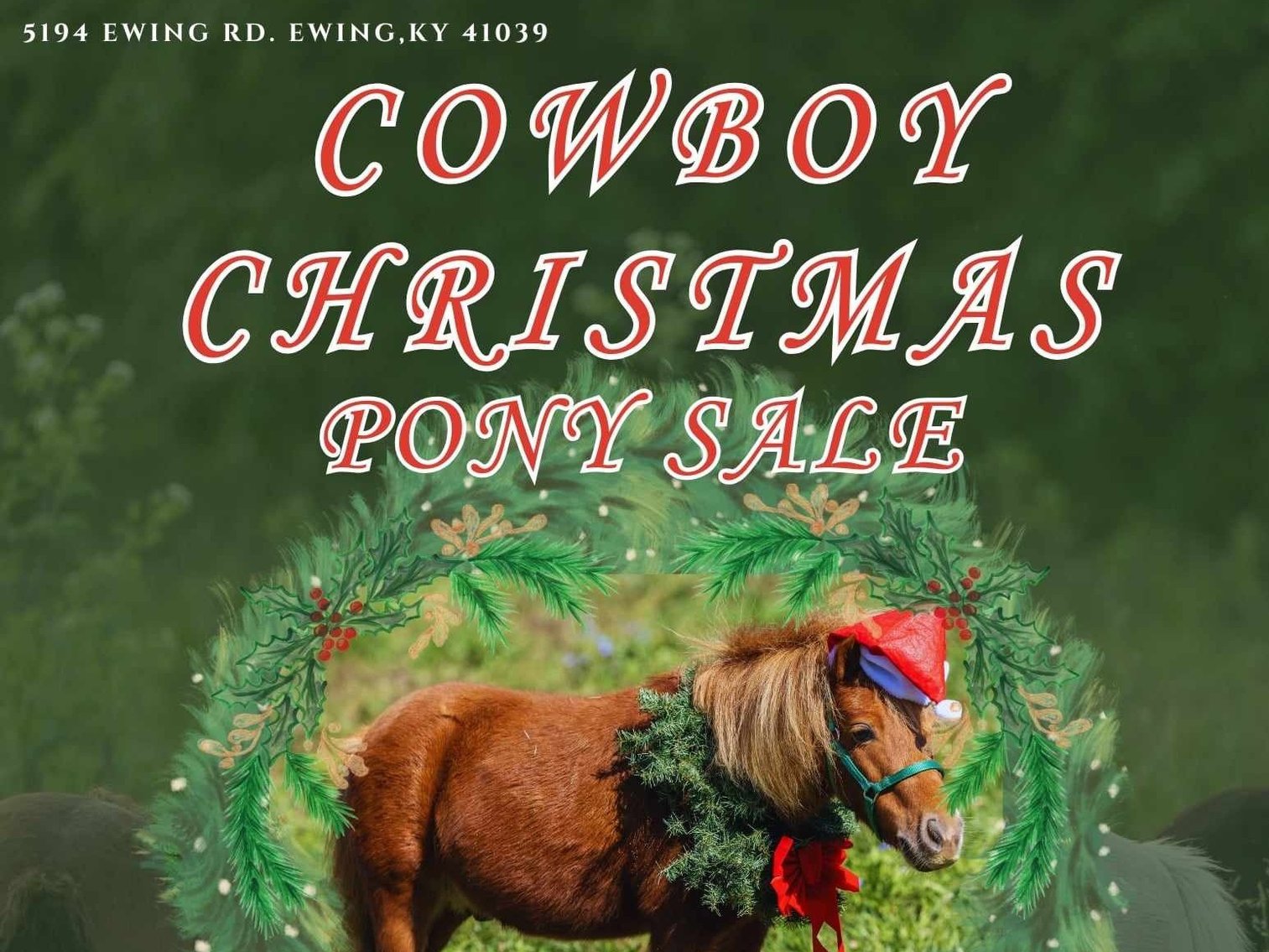 Image for 606 Christmas Pony Sale