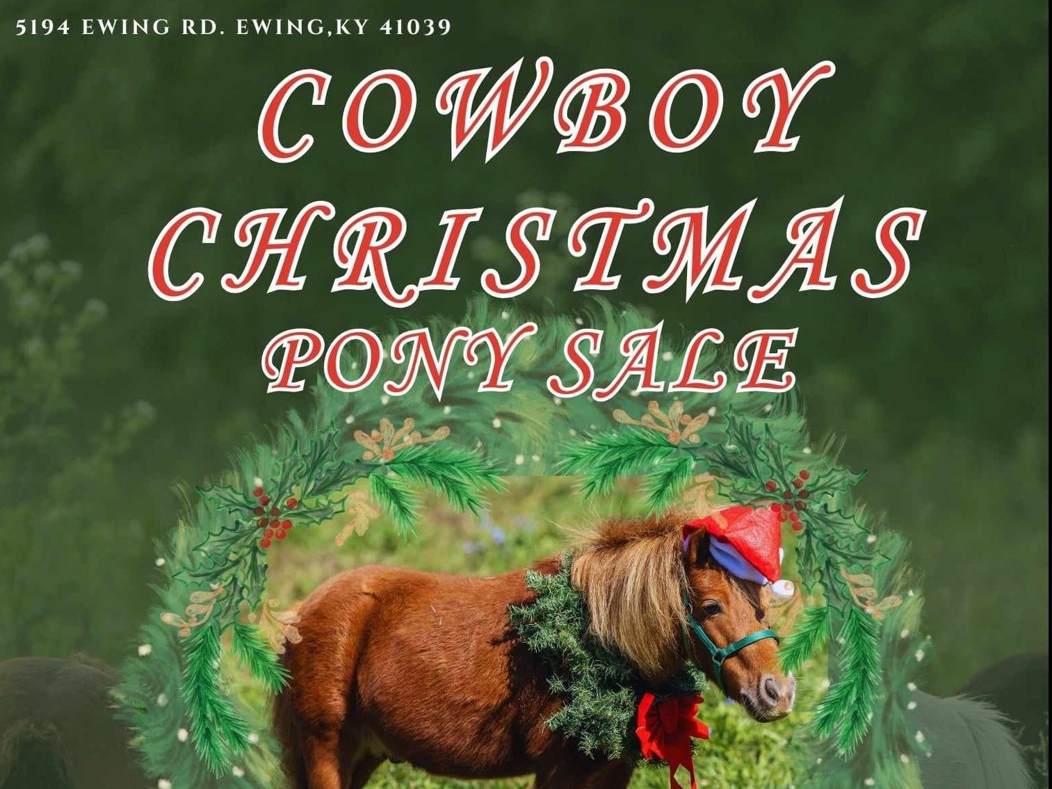 Image for 606 Christmas Pony Sale