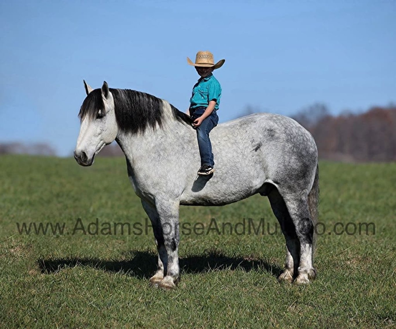 Image for Eastern Elite Select Sale