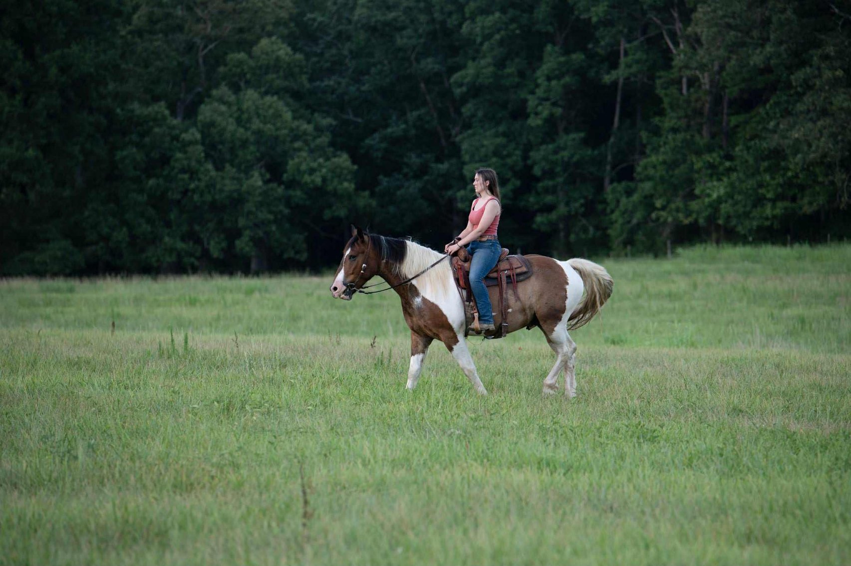 Image for Lumberton Horse and Tack Auction, August 2025