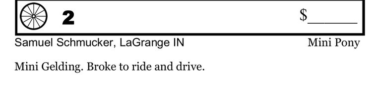 Image for Southwest Wisconsin Riding Horse Sale