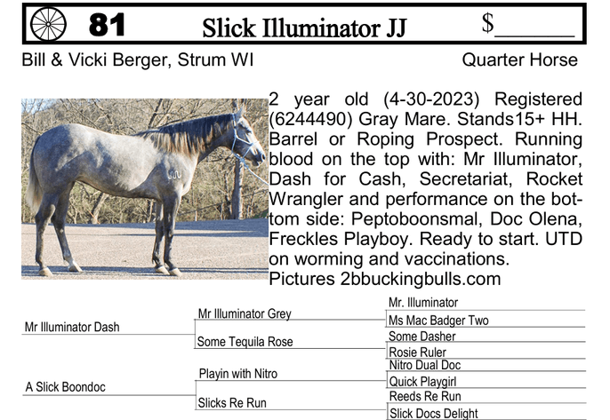 Image for Southwest Wisconsin Riding Horse Sale
