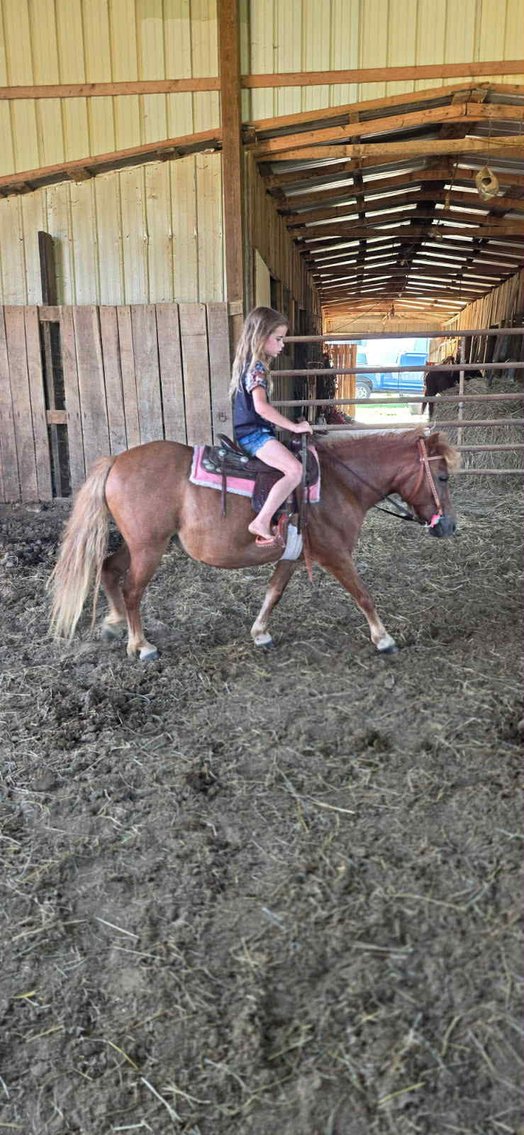 Image for 606 Fall Riding Sale