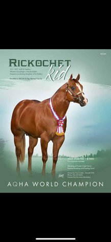 Image for Lumberton Horse and Tack Auction, September 2025