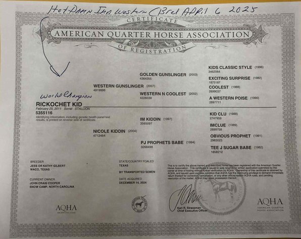 Image for Lumberton Horse and Tack Auction, September 2025