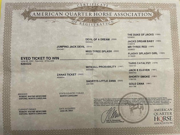 Image for Lumberton Horse and Tack Auction, September 2025