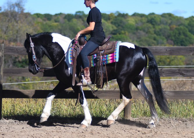 Image for Tri State Cattle and Horse Auction- Saturday- Day 2