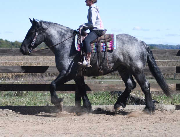 Image for Tri State Cattle and Horse Auction- Saturday- Day 2