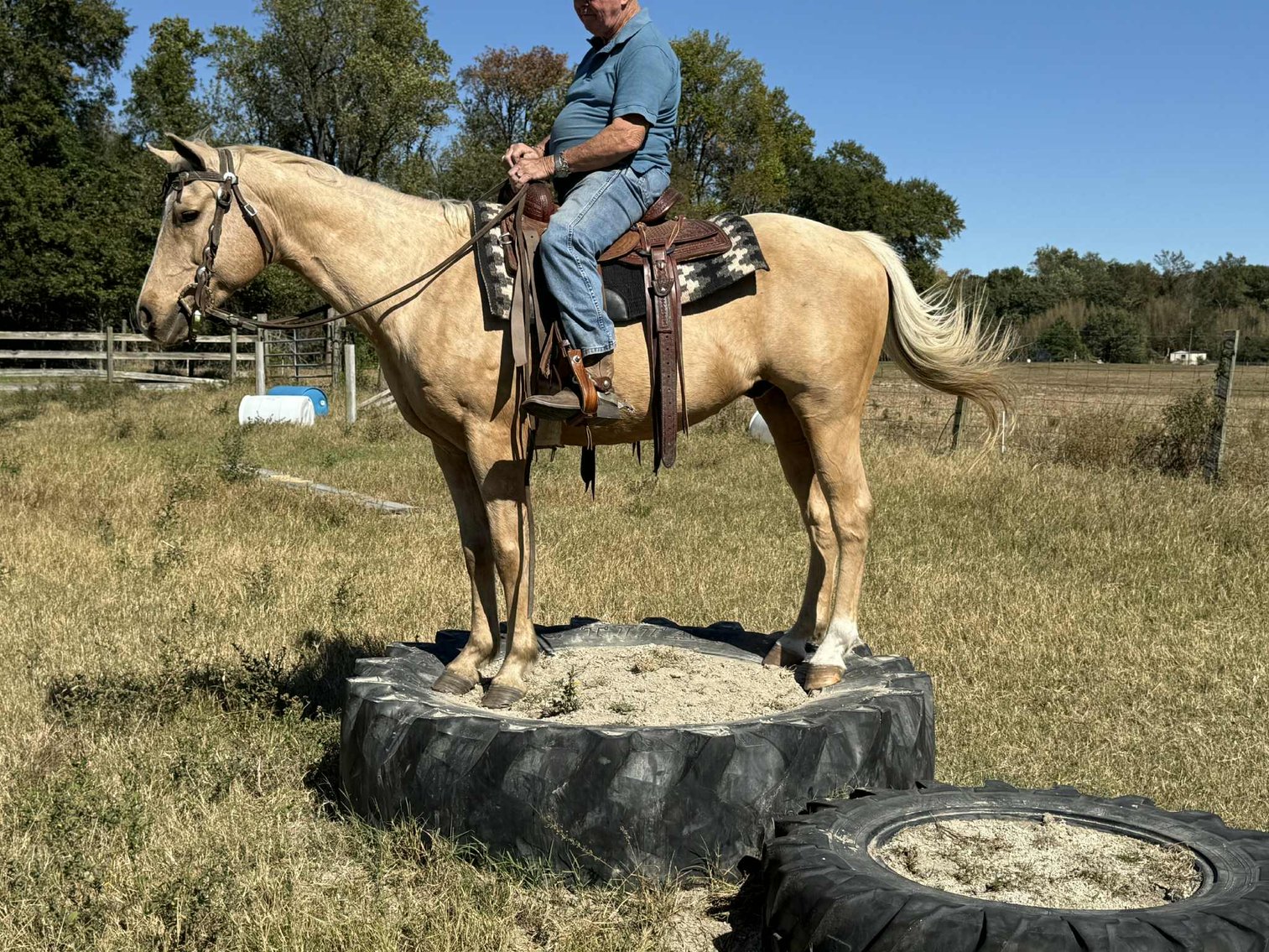 Image for Lumberton Horse and Tack Auction, November 2025