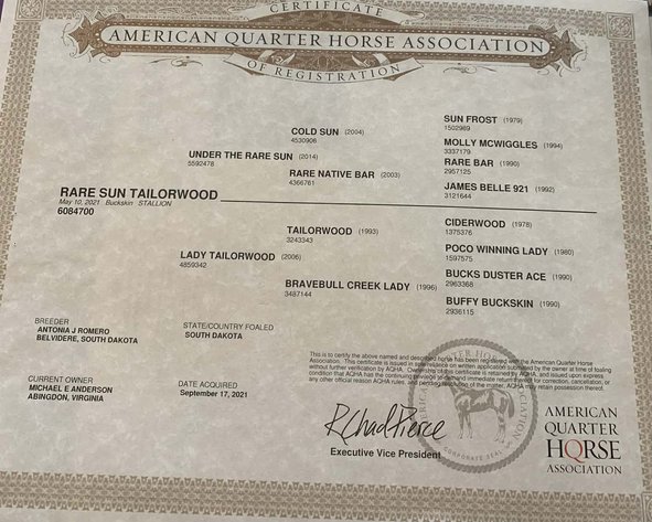 Image for Lumberton Horse and Tack Auction, March 2026