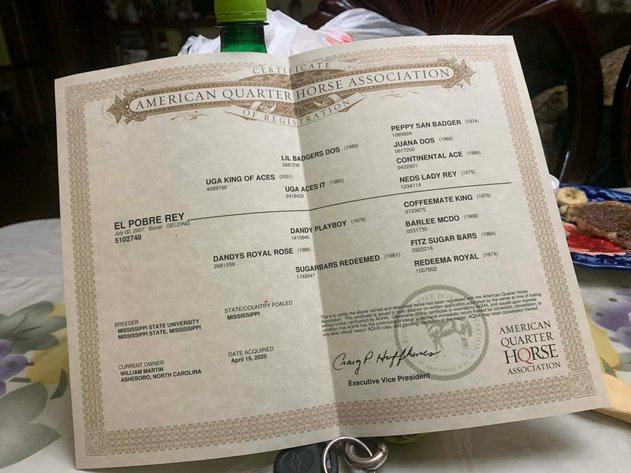 Image for Lumberton Horse and Tack Auction, April 2026