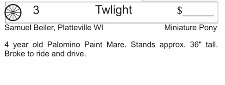 Image for Southwest Wisconsin Riding Horse Sale