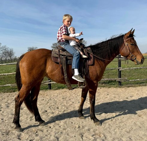 Image for Mount Up Sale, Spring 2026