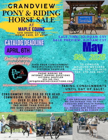 Image for Grandview Pony & Riding Horse Sale