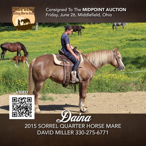 Image for Midpoint Riding Horse Sale