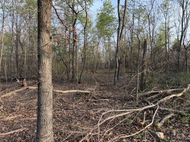 Image for PRATER HARDWOOD PRODUCTS, OK