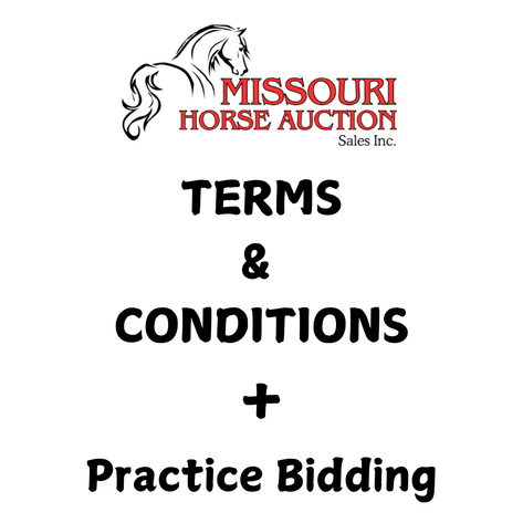 Image for March 10 DAY, ONLINE ONLY Horse Auction