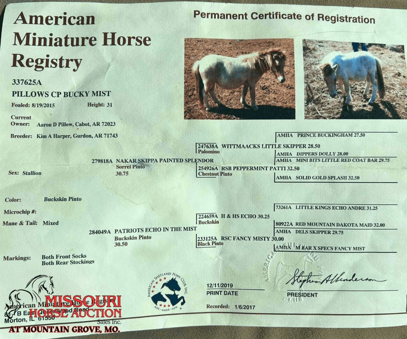Image for Missouri Horse Auction AT MOUNTAIN GROVE- FRIDAY, APRIL 11TH, 2025