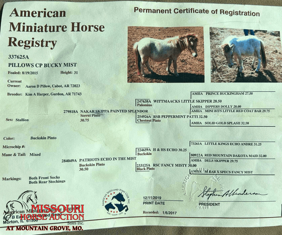 Image for Missouri Horse Auction AT MOUNTAIN GROVE- FRIDAY, APRIL 11TH, 2025