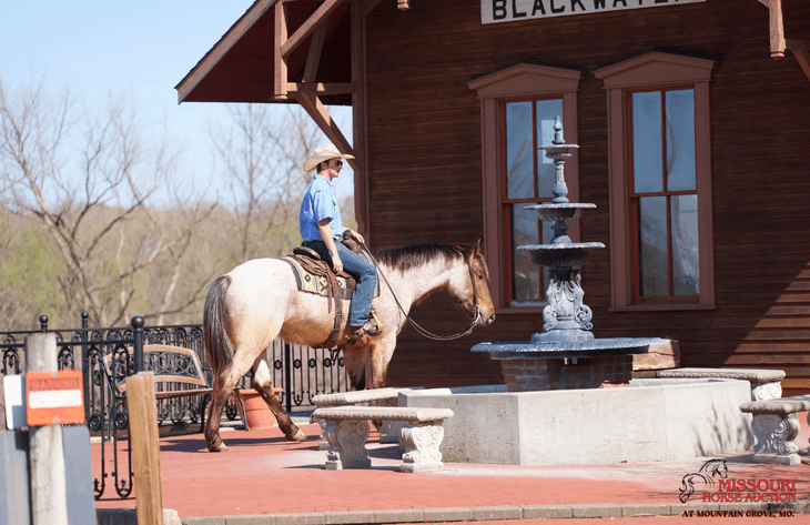 Image for Missouri Horse Auction AT MOUNTAIN GROVE- FRIDAY, APRIL 11TH, 2025