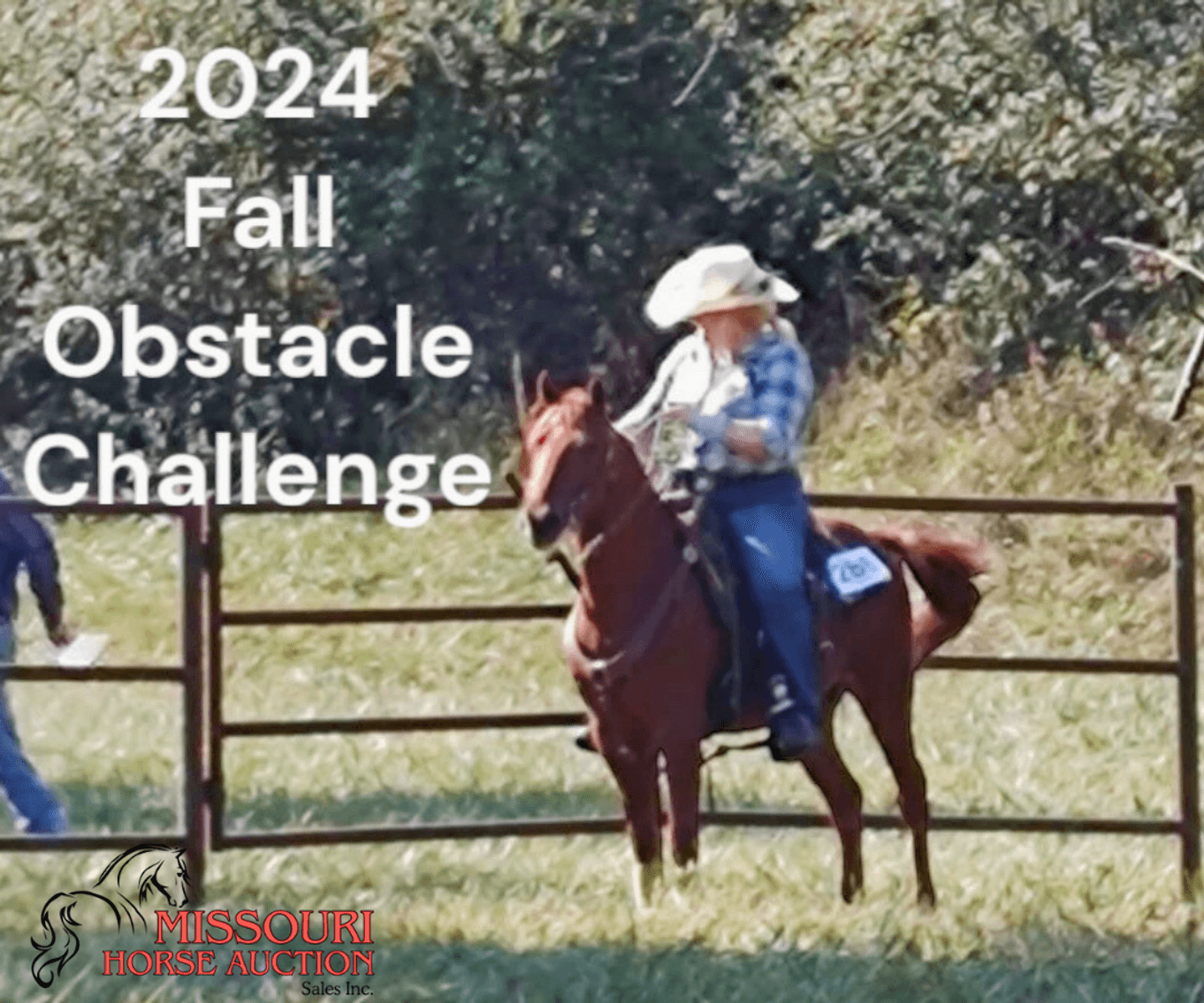 Image for April-10 DAY, ONLINE ONLY Horse Auction